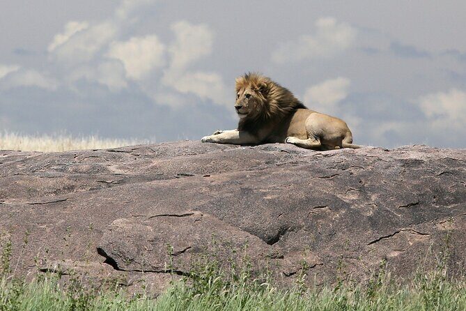 10 Days 9 Nights Exposure Africa Premium Safari Package - The Itinerary Breakdown: What to Expect at Every Step