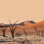 10 DAYS BEAUTY OF NAMIBIA | Guided Lodge - Why This Tour Offers Great Value