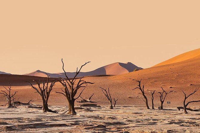 10 DAYS BEAUTY OF NAMIBIA | Guided Lodge - Why This Tour Offers Great Value