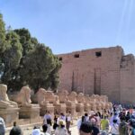 10 Days Egypt wonders Cairo pyramid cruise Hurghada Flight - Detailed Analysis of What Makes this Tour Stand Out