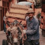 10 Days Morocco Private Tour from Tangier - Why This Tour Offers Great Value