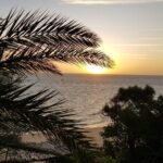 10 Days Private Madagascar Tour - What Makes This Tour Stand Out?