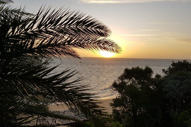 10 Days Private Madagascar Tour - What Makes This Tour Stand Out?