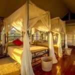 10 Days Tanzania Safari Private Tour - What Makes This Tour Stand Out?