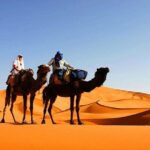 10 Days Tour From Casablanca, Morocco - Why This Tour Offers Great Value