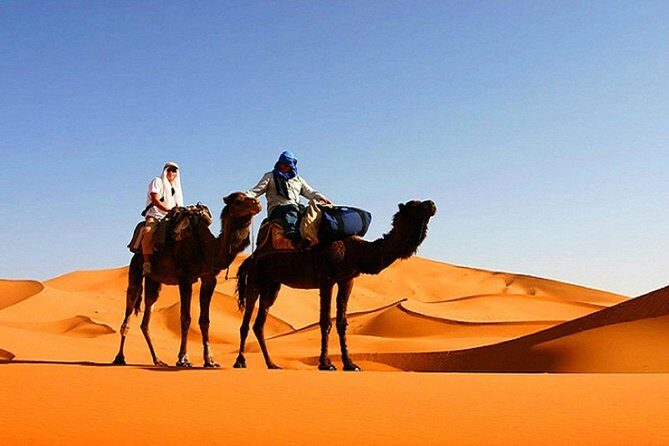 10 Days Tour From Casablanca, Morocco - Why This Tour Offers Great Value