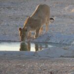 10 Namibia Adventures - Why This Tour Is a Great Value