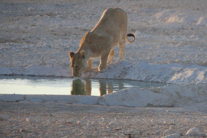 10 Namibia Adventures - Why This Tour Is a Great Value