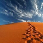 10 Nights 11 Days Best-selling Morocco Private Tour Package - Who Would Love This Tour?