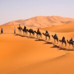 10D Morocco Tour From Tangier By Imperial Cities And South Desert - FAQ