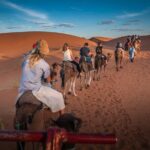 11 Day Private Tour to Imperial City and Desert from Marrakech - Practical Tips & Considerations