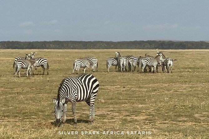 11-Day Wildebeest Migration Serengeti, Mara, Ngorongoro Crater. - Final Thoughts