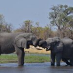 11 Days and 10 Nights Private Northern Explorer Tour - Detailed Itinerary Breakdown