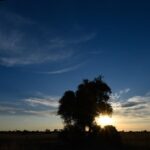 11 Days Botswana's Great Safari Experience - Day 1-2: Moremi Game Reserve