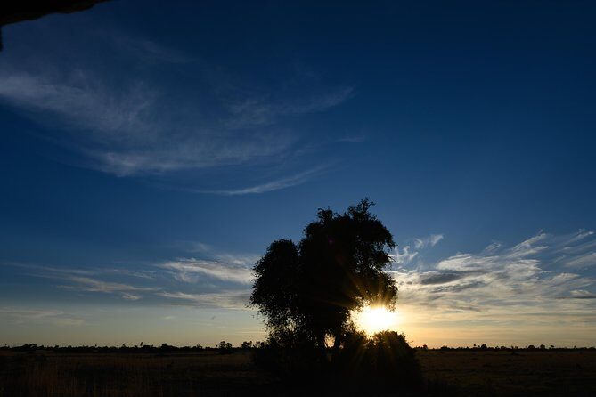 11 Days Botswana's Great Safari Experience - Day 1-2: Moremi Game Reserve