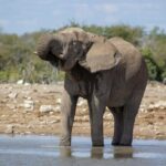 11 Days Small Group Namibia Experience Fully Accommodated Tour - Why This Tour Offers Great Value