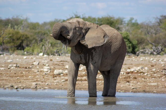 11 Days Small Group Namibia Experience Fully Accommodated Tour - Why This Tour Offers Great Value