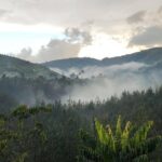 12 Day Affordable Safari-Gorilla and Primate Track Uganda - The Journey to Bwindi: Seamless Travel & Cultural Stops