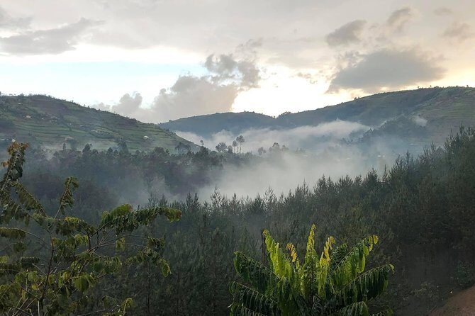 12 Day Affordable Safari-Gorilla and Primate Track Uganda - The Journey to Bwindi: Seamless Travel & Cultural Stops
