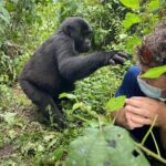 12-Day Moderately Priced Pearl of Africa - Uganda Private Safari - Murchison Falls: Power and Wildlife