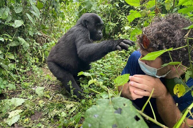 12-Day Moderately Priced Pearl of Africa - Uganda Private Safari - Murchison Falls: Power and Wildlife