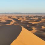 12-Day Private Moroccan Cities and Deserts Tour - An In-Depth Look at the 12-Day Moroccan Experience