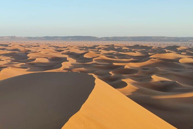 12-Day Private Moroccan Cities and Deserts Tour - An In-Depth Look at the 12-Day Moroccan Experience