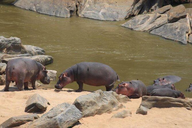 12 Days Kenya and Tanzania Budget Private Safari from Nairobi - Transportation and Accommodation