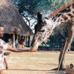 12 Days Kenya Tanzania wildlife Joining Tour - What Travelers Love & What to Consider