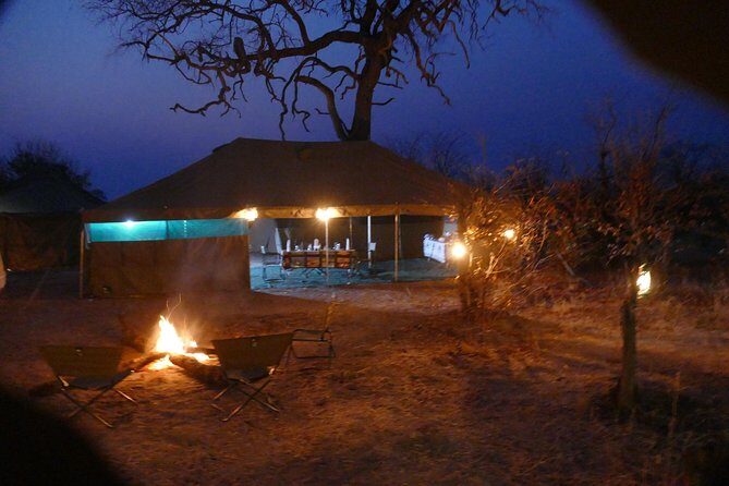 12 Days Mobile Camping Safari-From Maun to Chobe National Park - Day 3: Full Day in Moremi
