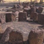 12 days Private Tour Package in Senegal and the Gambia - Who Should Consider This Tour?