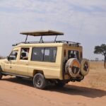 12 Days Safari Tour around Mt Kilimanjaro off the beaten - What’s Included and What’s Not