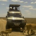 12 Days Wildlife Safaris And Culture Tour - A Detailed Look at the 12-Day Itinerary