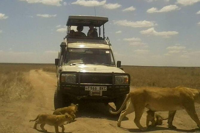 12 Days Wildlife Safaris And Culture Tour - A Detailed Look at the 12-Day Itinerary