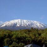 13 Days Adventure in Tanzania - Trekking and Wildlife Safari - Who is This Tour Best Suited For?
