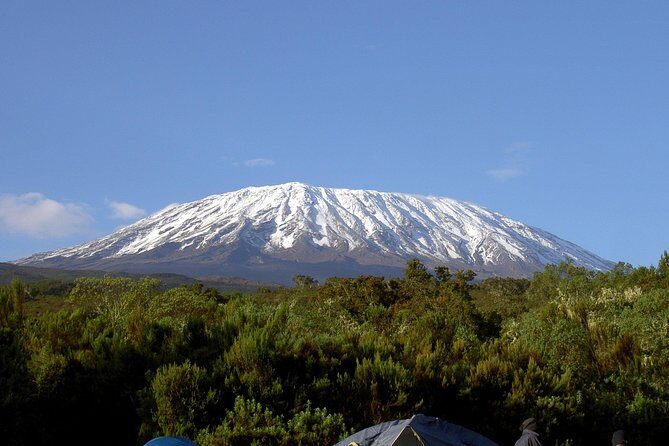 13 Days Adventure in Tanzania - Trekking and Wildlife Safari - Who is This Tour Best Suited For?