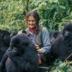 13 Days Wildlife Adventure Trip To The Pearl Of Africa - What Makes This Tour Stand Out?