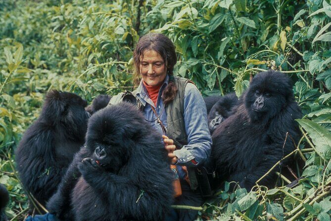 13 Days Wildlife Adventure Trip To The Pearl Of Africa - What Makes This Tour Stand Out?
