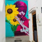 14-Day Private Morocco Street Art Tour - Discovering Morocco Through Its Murals