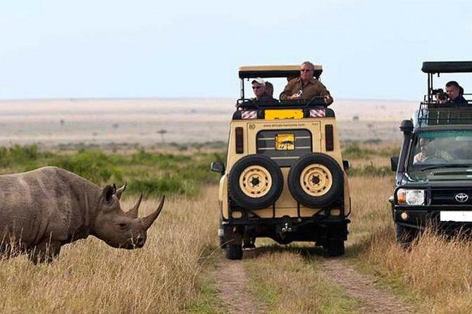 14-Days Kenya and Tanzania Camping Safari from Nairobi - The Practical Side: Transportation, Accommodations, and Value