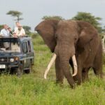 14 Days Uganda Rwanda Primate Tour - Wildlife & Scenic Safaris at Queen Elizabeth National Park