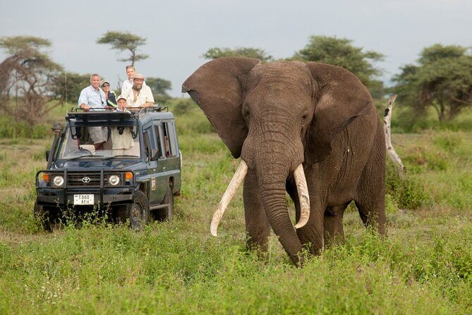 14 Days Uganda Rwanda Primate Tour - Wildlife & Scenic Safaris at Queen Elizabeth National Park