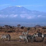 15 Days Classic Kenya & Tanzania + Zanzibar Beach Holiday - The Itinerary in Detail