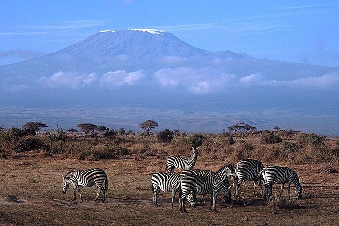 15 Days Classic Kenya & Tanzania + Zanzibar Beach Holiday - The Itinerary in Detail