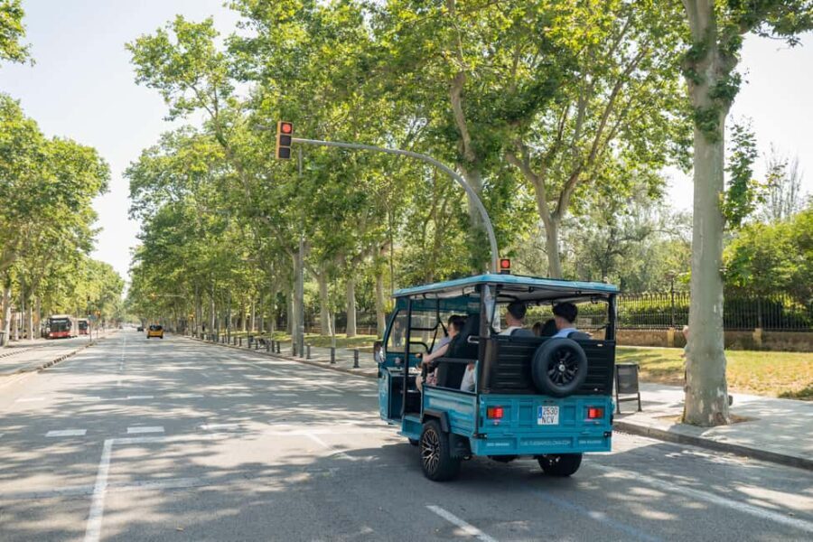 1,5-Hour Barcelona City & Beach Private Tuk-Tuk Tour - What Travelers Say