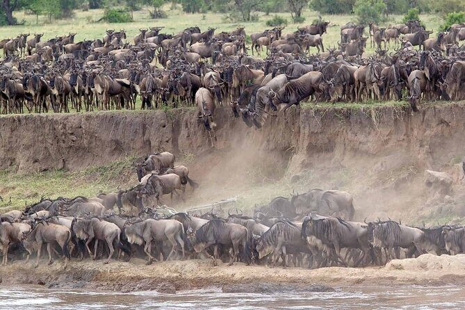 16-Day Photo Tour to Uganda and Tanzania - The Practicalities & Value