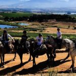 1h30m  Horse Trail - Authentic Reviews and What They Reveal