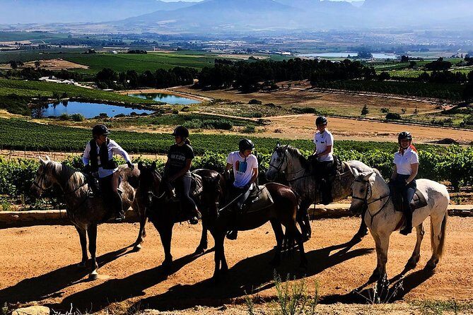 1h30m  Horse Trail - Authentic Reviews and What They Reveal