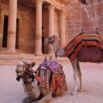 2 Day 1 Night Petra & Wadi Rum Shore Excursion (ON Petra) - Final Thoughts: Is This Tour Right for You?