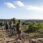 2 Day Addo Elephant Park Safari - An Honest Look at the Price and Value